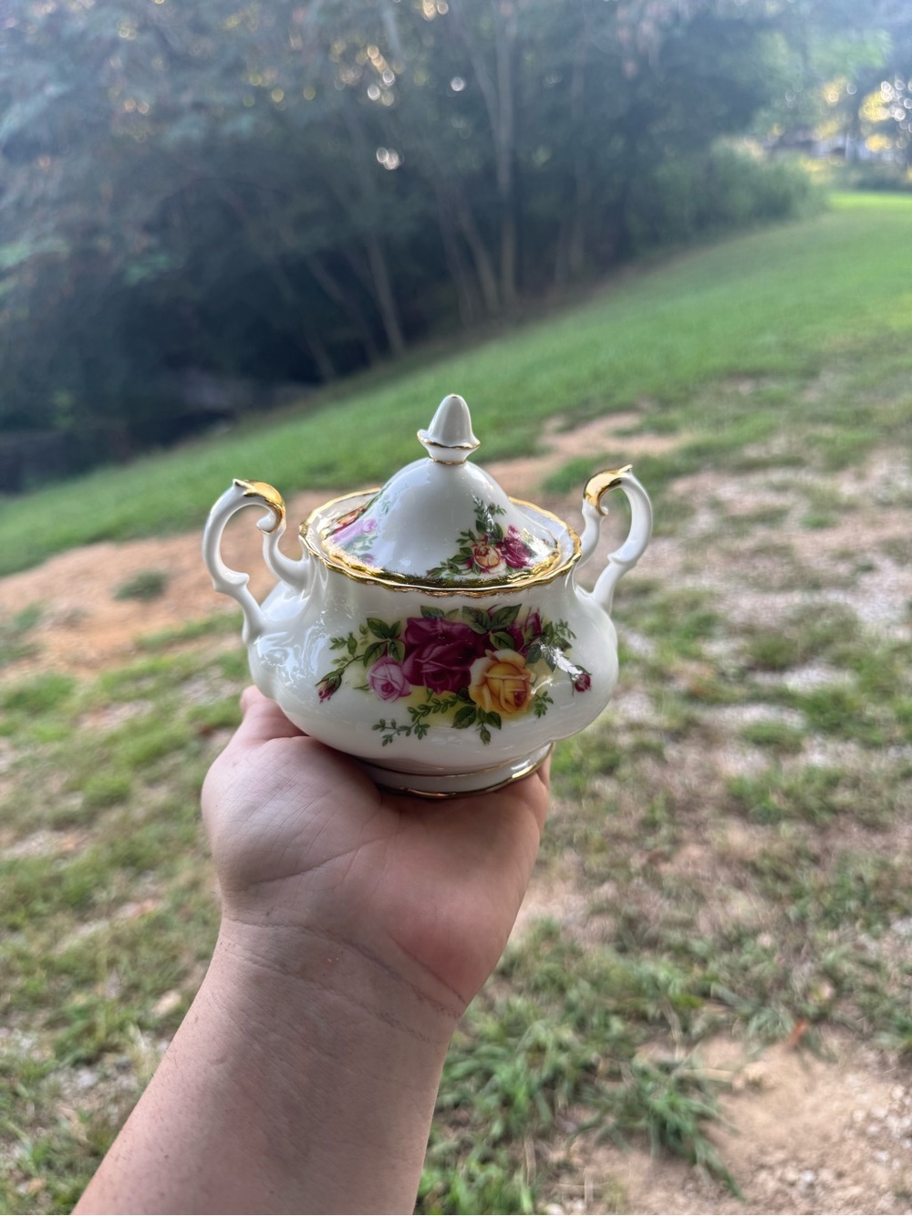 Vintage Royal Albert bone china old country roses lidded sugar bowl